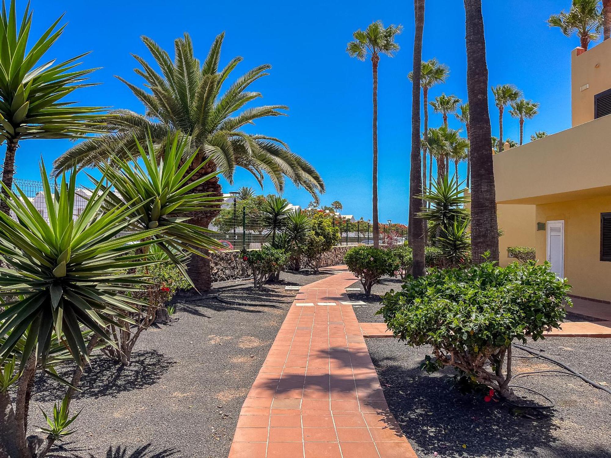 Apartamentos Oasis Royal Corralejo F314 Buitenkant foto