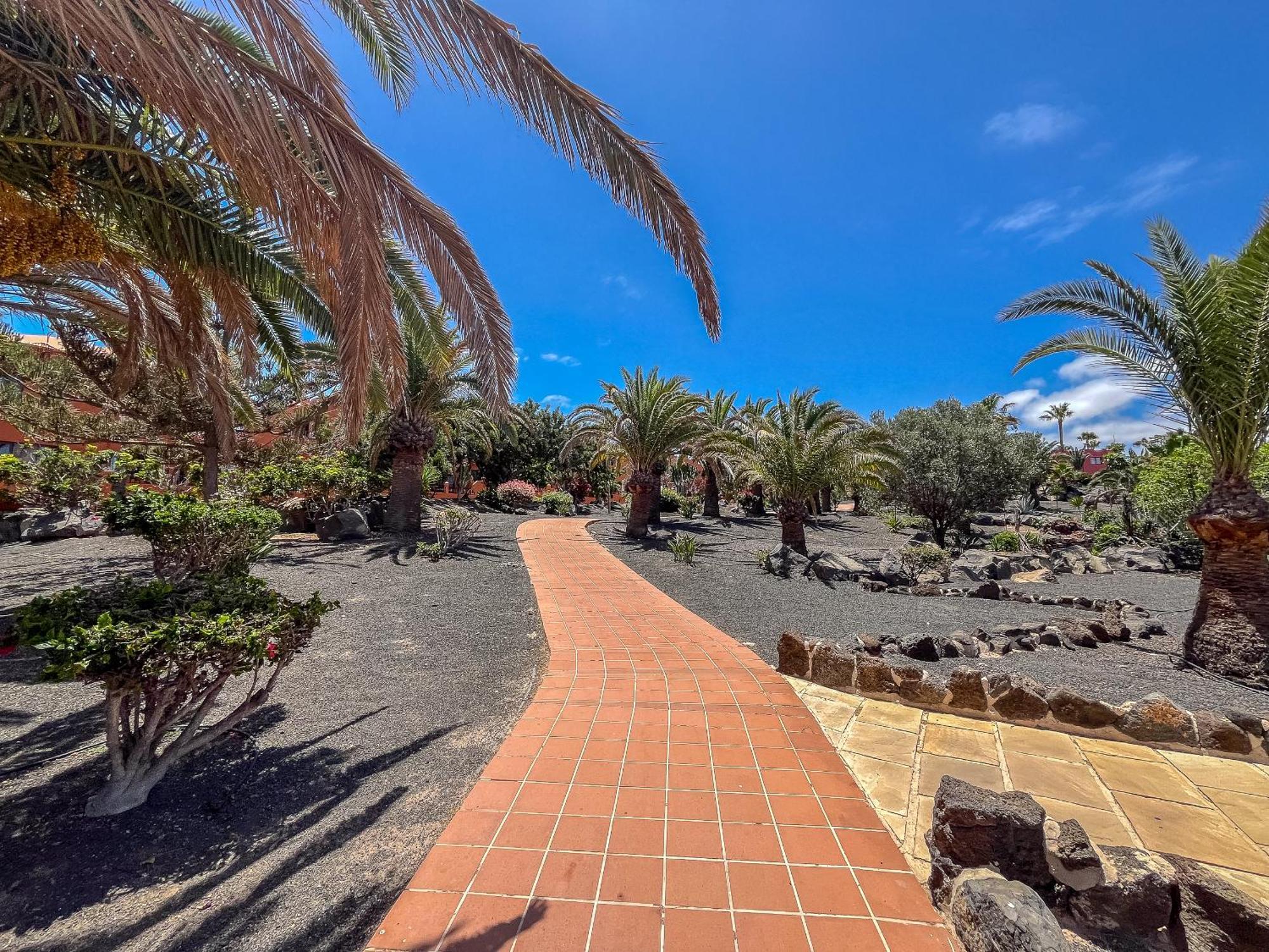 Apartamentos Oasis Royal Corralejo F314 Buitenkant foto