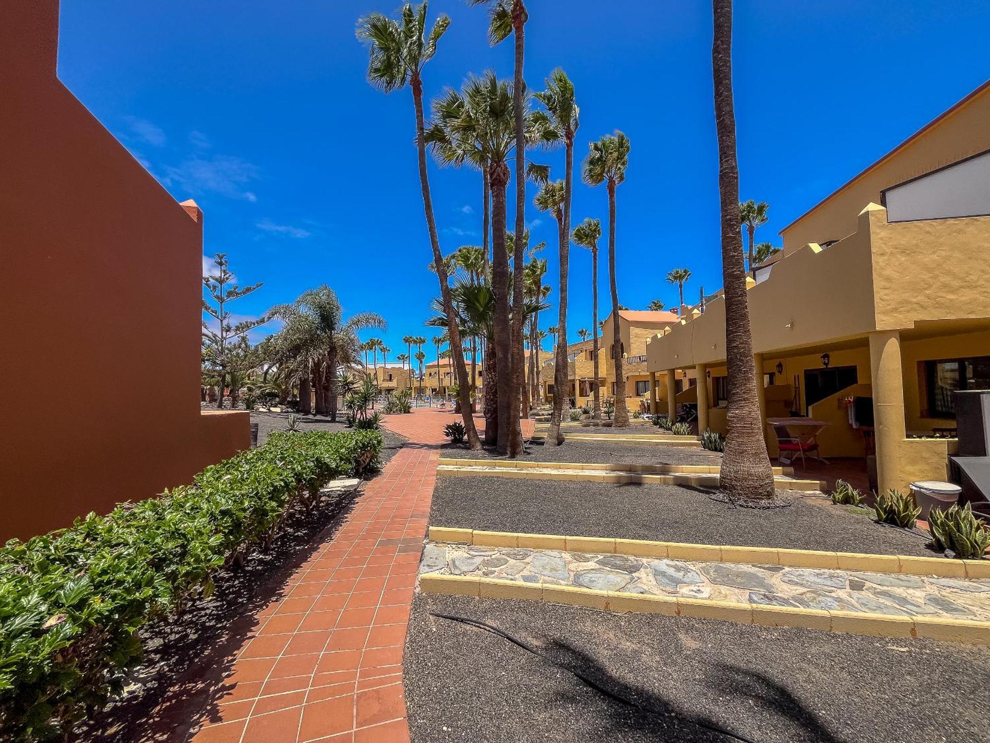 Apartamentos Oasis Royal Corralejo F314 Buitenkant foto