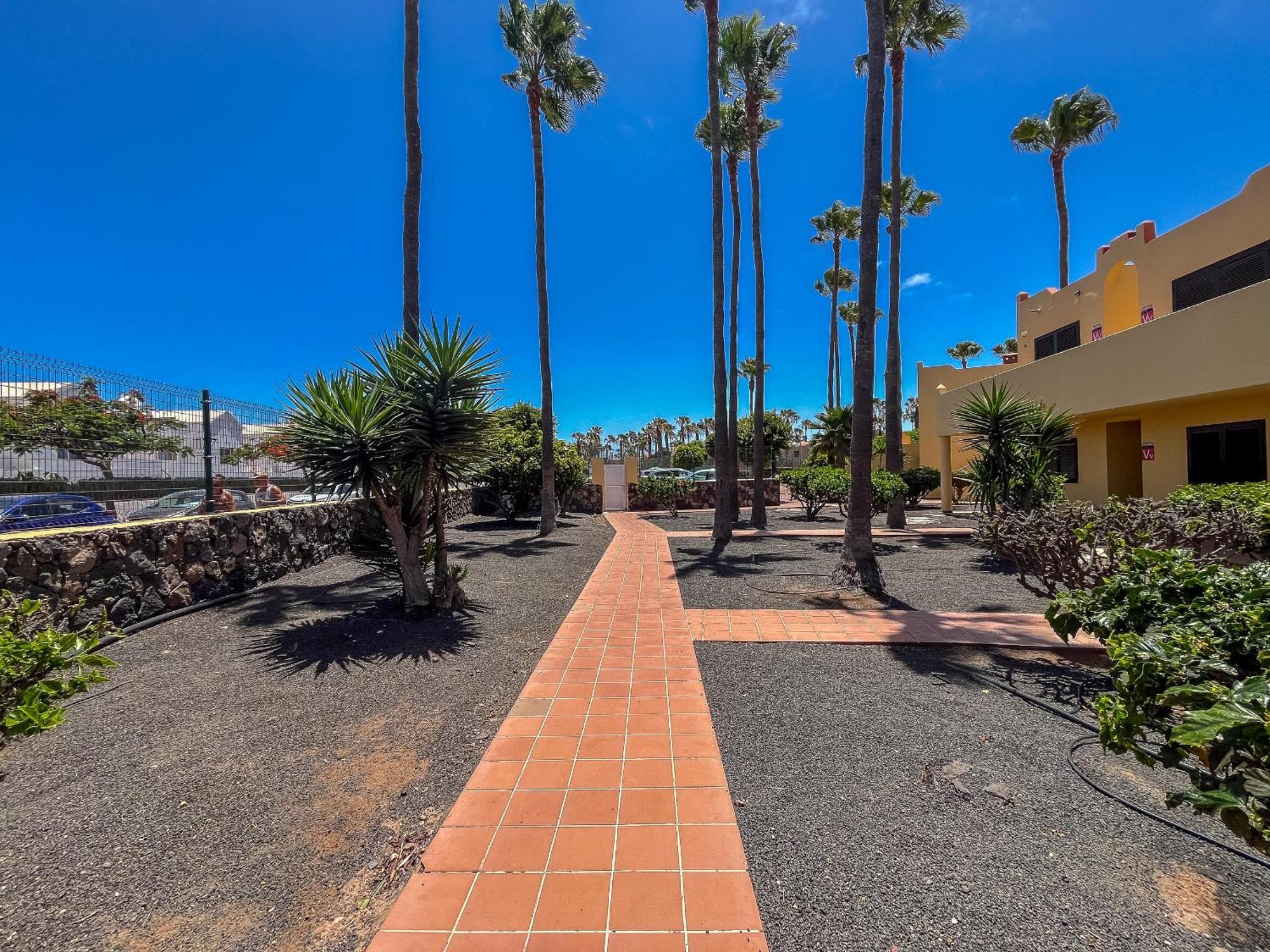 Apartamentos Oasis Royal Corralejo F314 Buitenkant foto