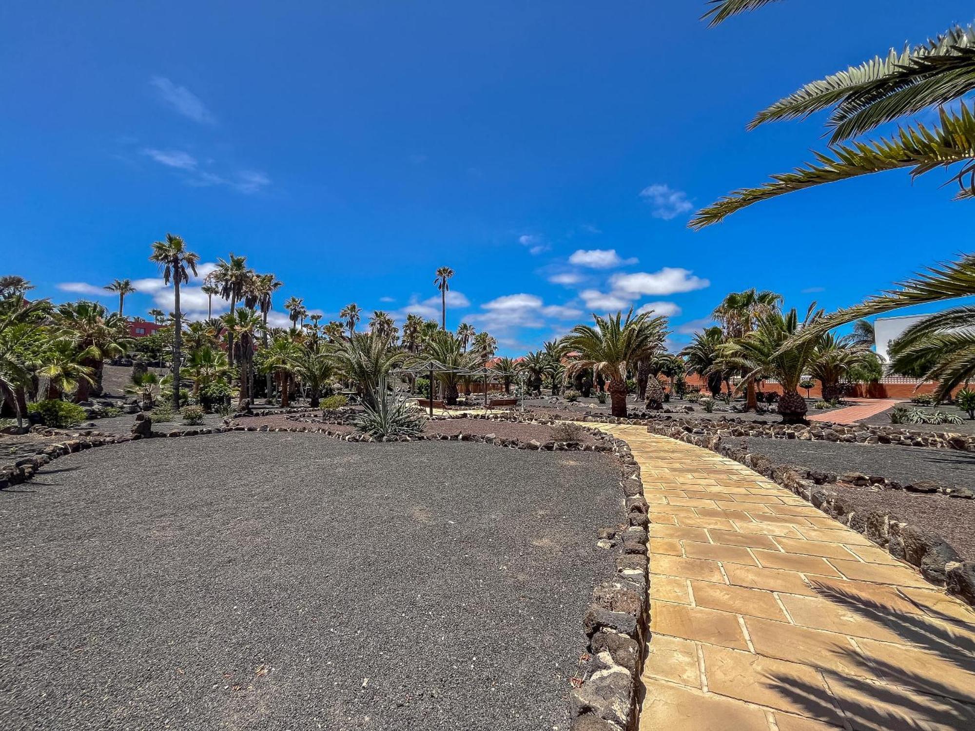 Apartamentos Oasis Royal Corralejo F314 Buitenkant foto